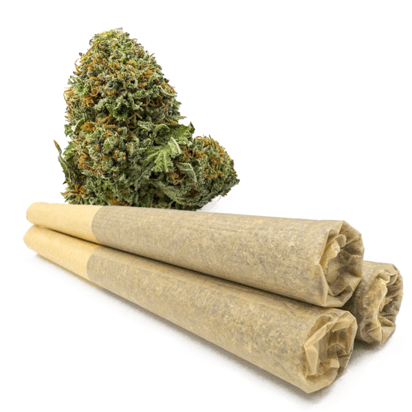Buy 0.9 Gram Elmer’s Glue Pre-Rolled Joints