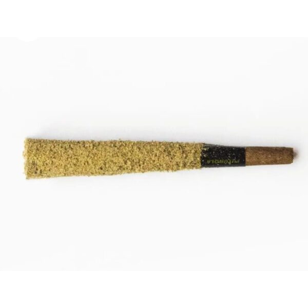 Buy Popeyes Moonrocket XL 1.5 Gram
