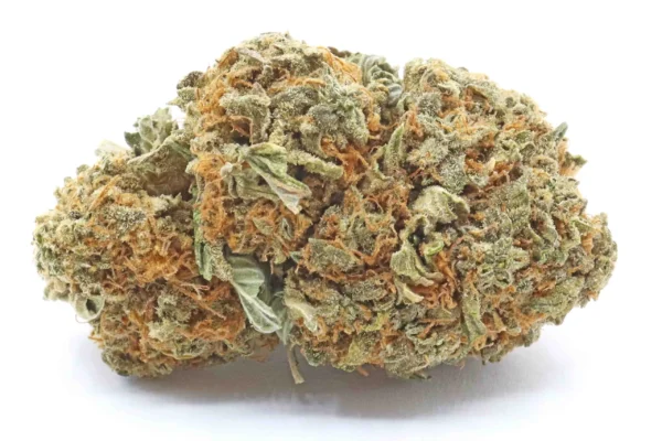 Kup Cannatonic Hybris Zioło Online