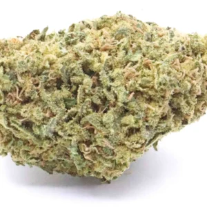 Kup G13 Strain Cannabis Online
