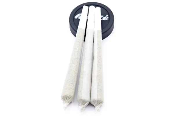 Girl Scout Cookies Strain AA Pre-Rolls Indica Dominant Hybrid – 1.4 grams