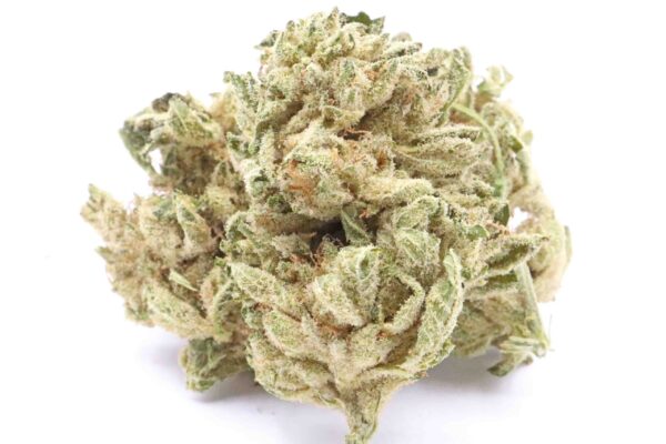 Kup odmianę konopi Sour Bubba online