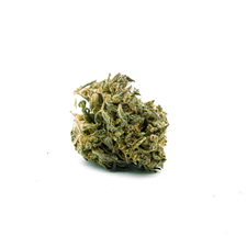 Cannabis Age Verification
