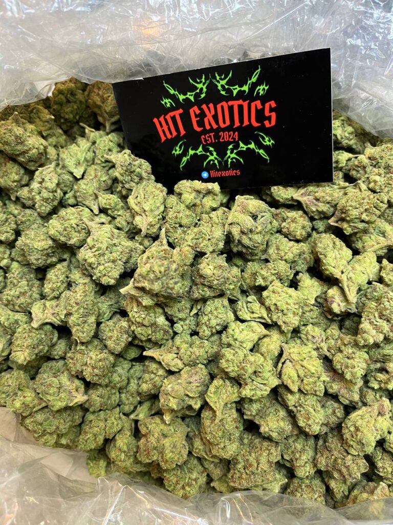 Konopiie Najwyższej jakości marihuana do spożycia