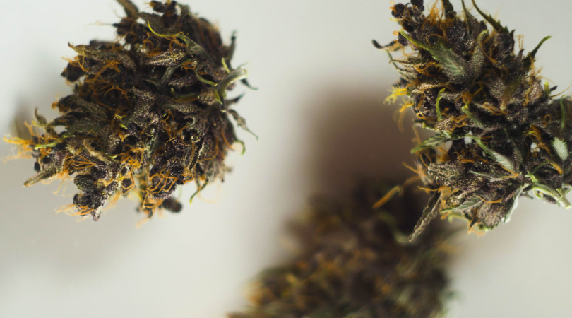 Best-Cannabis-Strains-for-Depression Najlepsze odmiany konopi na depresję