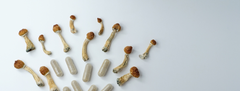 Effects-Of-Magic-Mushroom-Tea