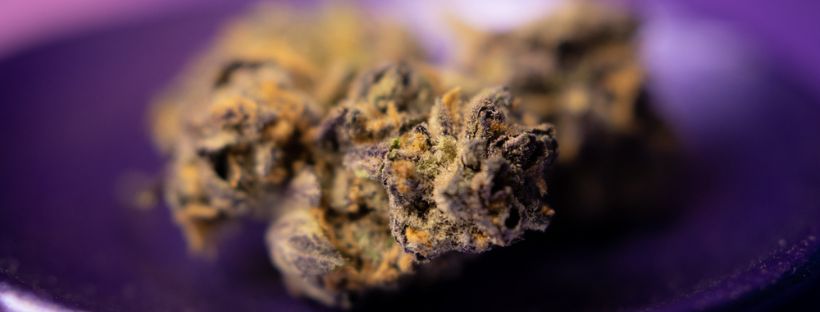 Najlepsze odmiany konopi na depresję