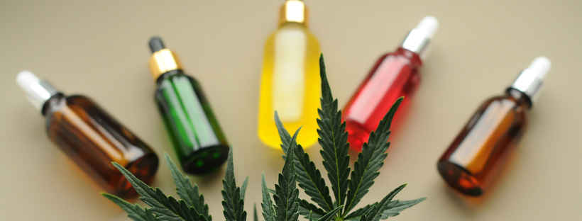 Jak Kupować Produkty CBD Jak Kupować Produkty CBD