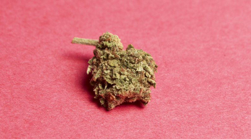 What-Type-of-Cannabis-Is-Best-for-Chronic-Pain-Treatment