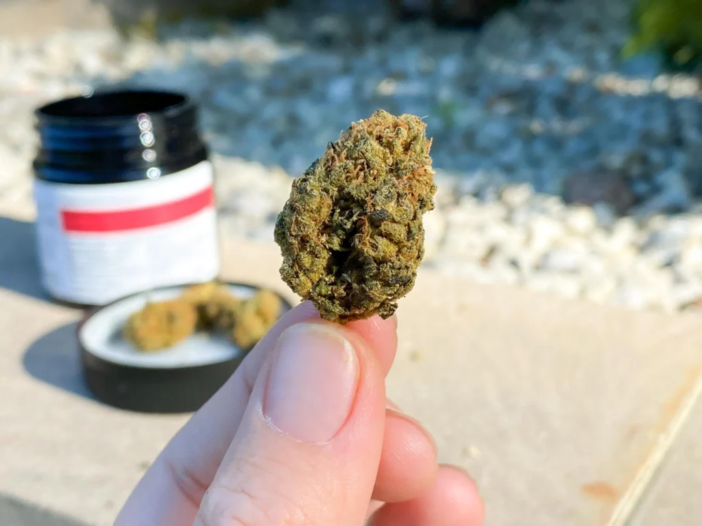 Sklep z marihuaną Polska