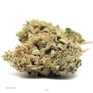 master_kush_AAA-1